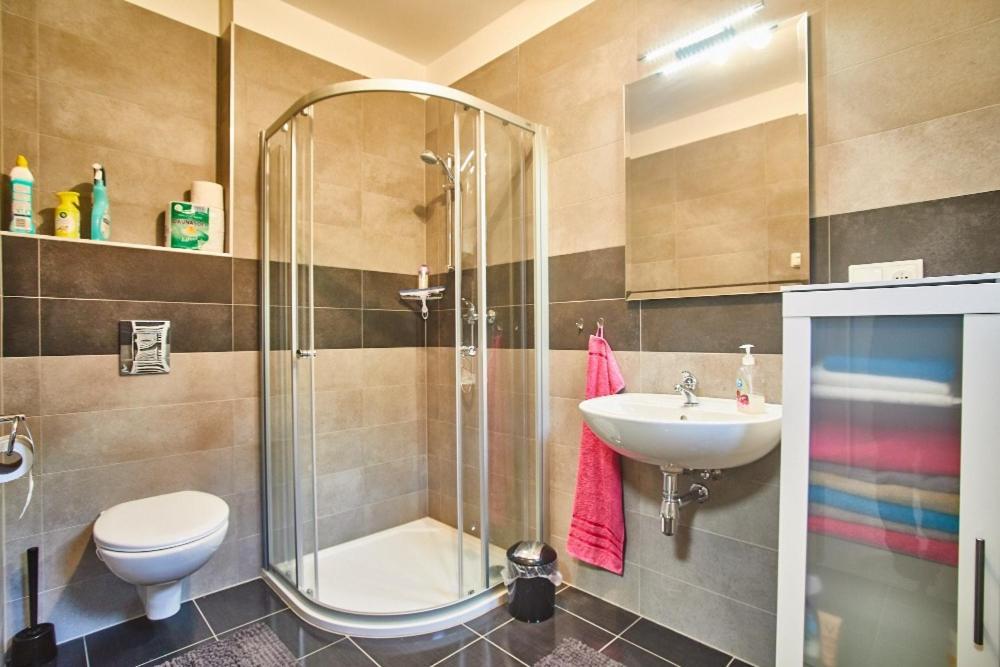 Apartman Jasmin II Frymburk Luaran gambar
